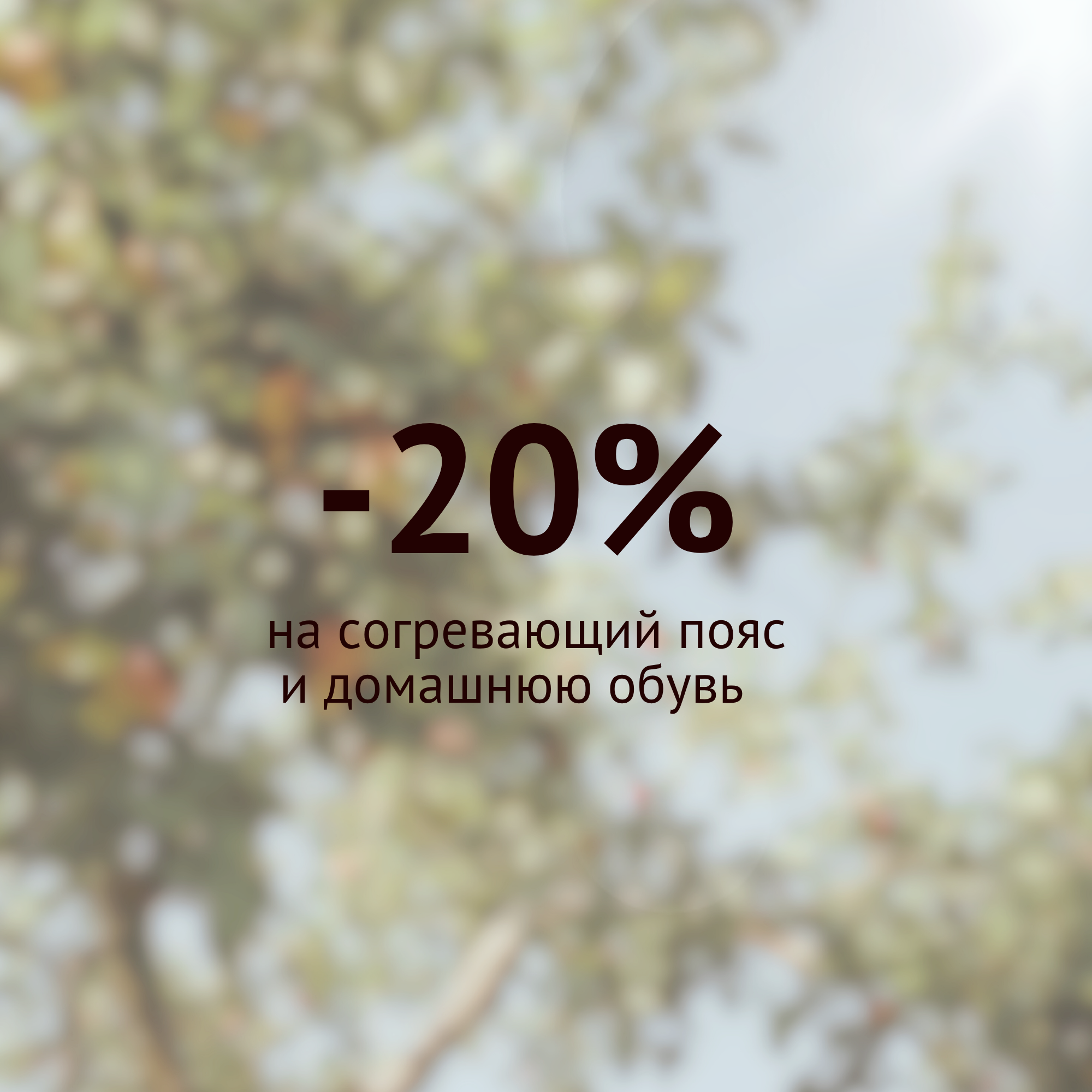 Не жаркое лето