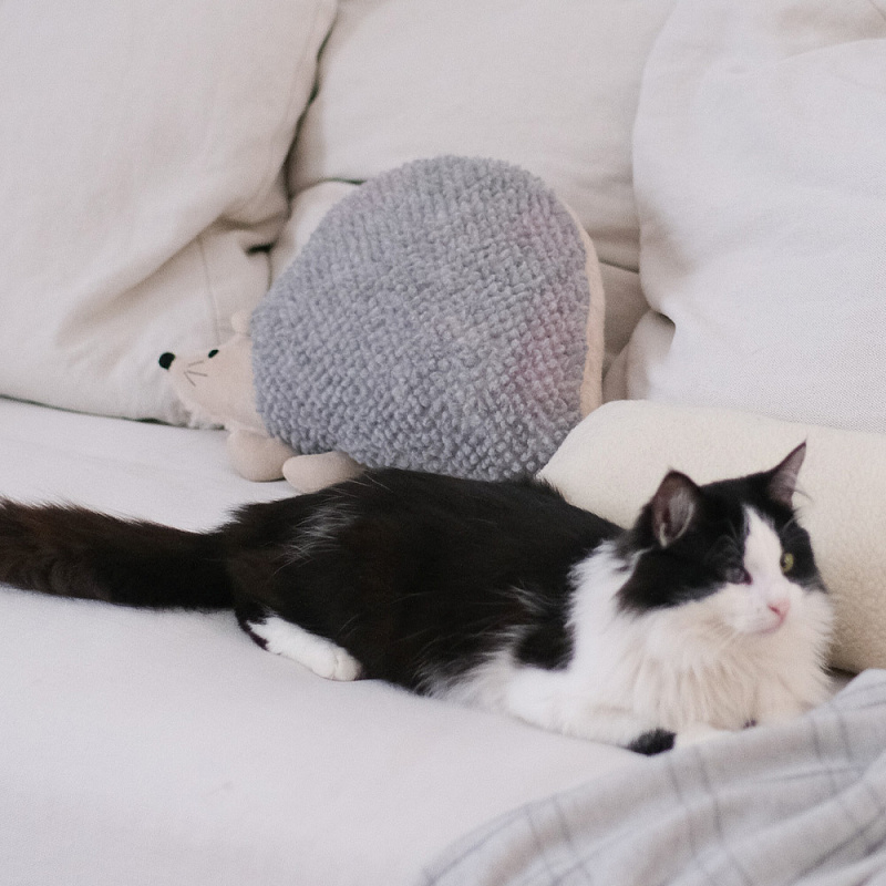 Подушка Ёж Онуфрий